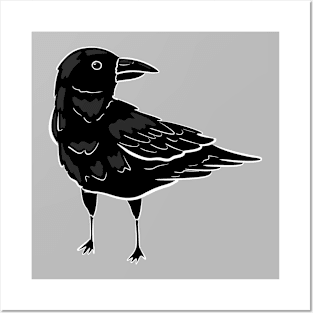 Pocket Raven Posters and Art